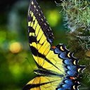 ���� �������, ������ - ��������� 11 ������� 2016 � ������ ������ ��������