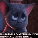 ���� ������, �����������, 55 ��� - ��������� 18 ������ 2017 � ������ ���� ����������