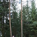 ���� �����, �����-��������� - ��������� 29 ������� 2016 � ������ ���� ����������