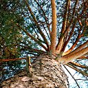 ���� �����, �������, 63 ���� - ��������� 3 ������ 2017 � ������ ���� ����������