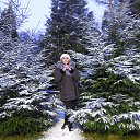 ���� �����, ����������� - ��������� 3 ������ 2017 � ������ ���� ����������