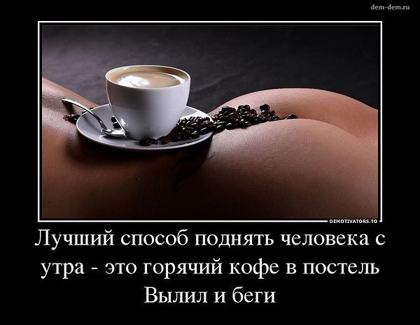   -  .    . :    ... - 3