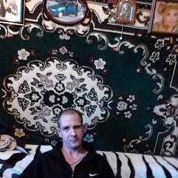 ���� �����, �����-���������, 43 ���� - ��������� 10 ������� 2017