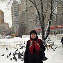 ������. ������ 2016 ���� �� ������� �2012 ���