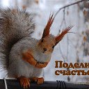 ���� ��������, ����-���� - ��������� 15 ������� 2017 � ������ ���� ����������