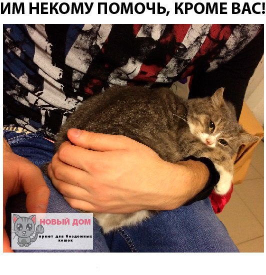 Что сегодня можно купить на 100 рублей.100 рублей - на что вам их хватит? На 100 рублей можно купить ...