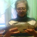 ���� �����, ������������, 66 ��� - ��������� 5 ����� 2017