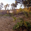 ���� ����, ���������, 67 ��� - ��������� 8 ������ 2016 � ������ ���� ����������