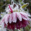 ���� �����, �����, 64 ���� - ��������� 22 ������� 2016 � ������ ������� ���������