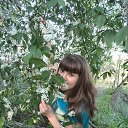 ���� �������, �����-���������, 50 ��� - ��������� 27 ������ 2016 � ������ ���� ����������