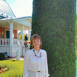 ���� �������, �������, 74 ���� - ��������� 8 ������� 2016