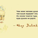 ���� Igor, ������ - ��������� 23 ������� 2016 � ������ ������ ��������