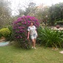 ���� ����, ������ ������� - ��������� 27 ����� 2017 � ������ ������ 2017�.�