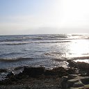 ���� ��������, ������, 55 ��� - ��������� 3 ������� 2016 � ������ ���� ����������