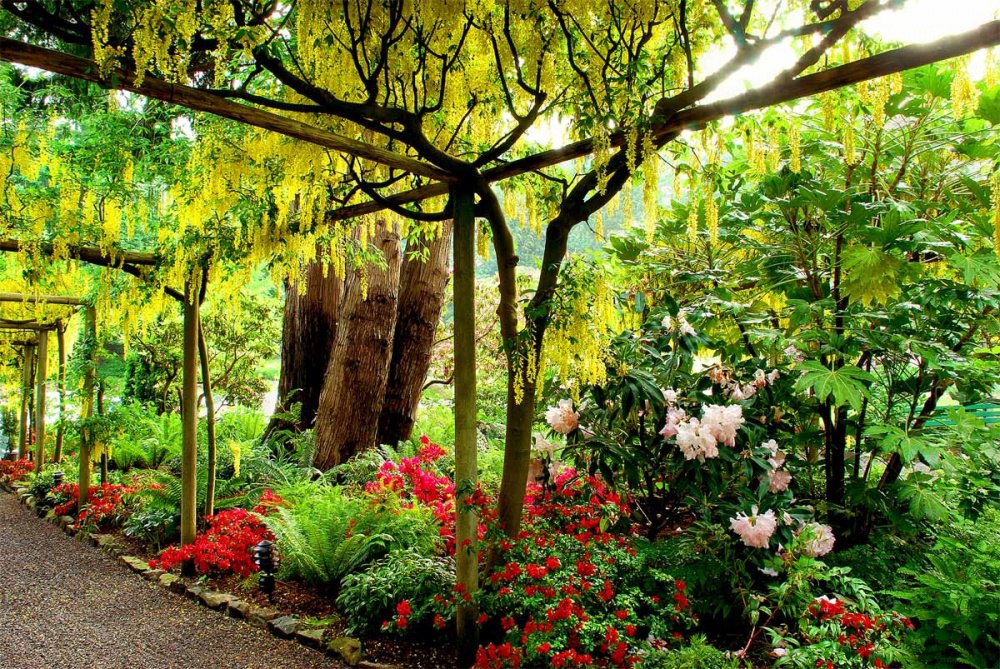 ))). ,     ,     .  ... - 2