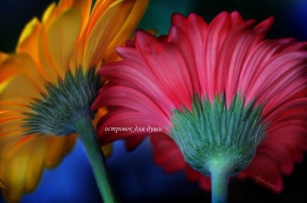    - 23  2017  11:09 - 2