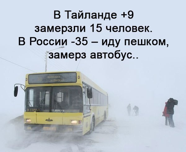    - 13  2017  09:51