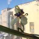 ���� ���������, �����-���������, 64 ���� - ��������� 29 �������� 2016 � ������ ���� �������� ����� !�