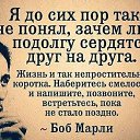 ���� �������, �������, 48 ��� - ��������� 23 �������� 2016 � ������ ������ ��������