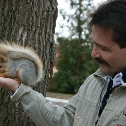 ���� �����, ������, 58 ��� - ��������� 4 ������ 2016