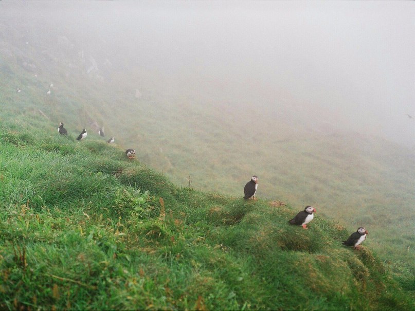 Faroe islands - 5