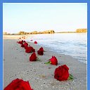 ���� Rodnaj, �����-��������� - ��������� 30 �������� 2016 � ������ ���� ����������