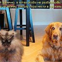 ���� Artur, ������, 54 ���� - ��������� 21 ������ 2016 � ������ ������ ��������
