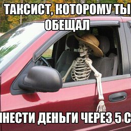 ���� �������, ��������, 41 ��� - ��������� 7 ����� 2017