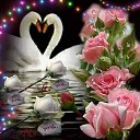 ���� Host, ����, 61 ��� - ��������� 19 ������� 2016 � ������ ������ ��������