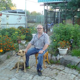 ���������, ���������, 62 ����