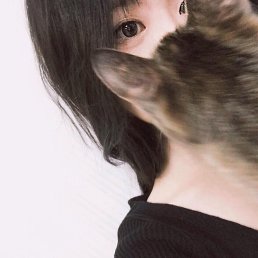 ���� �����, ������ �������� - ��������� 30 ������ 2017