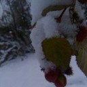 ���� �����, �����-���������, 77 ��� - ��������� 7 ������� 2016 � ������ ���� ����