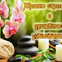 ���� �������, �������-��������� - ��������� 1 ������� 2016 � ������ �������� ��������