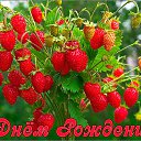 ���� Jevgenia, ������ - ��������� 13 �������� 2016 � ������ ���� ����������