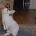 ���� ������, �������, 54 ���� - ��������� 20 �������� 2016 � ������ ������ ��������