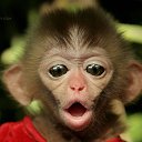 ���� On, ������, 45 ��� - ��������� 6 ������� 2017 � ������ ������ ��������