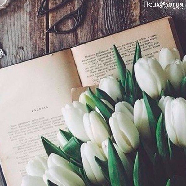 ТОП-10 небольших по объему, но прекрасных книг.1. Мария Парр —