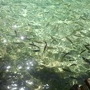  ,  -  11  2017   Plitvicka jezera -   - 