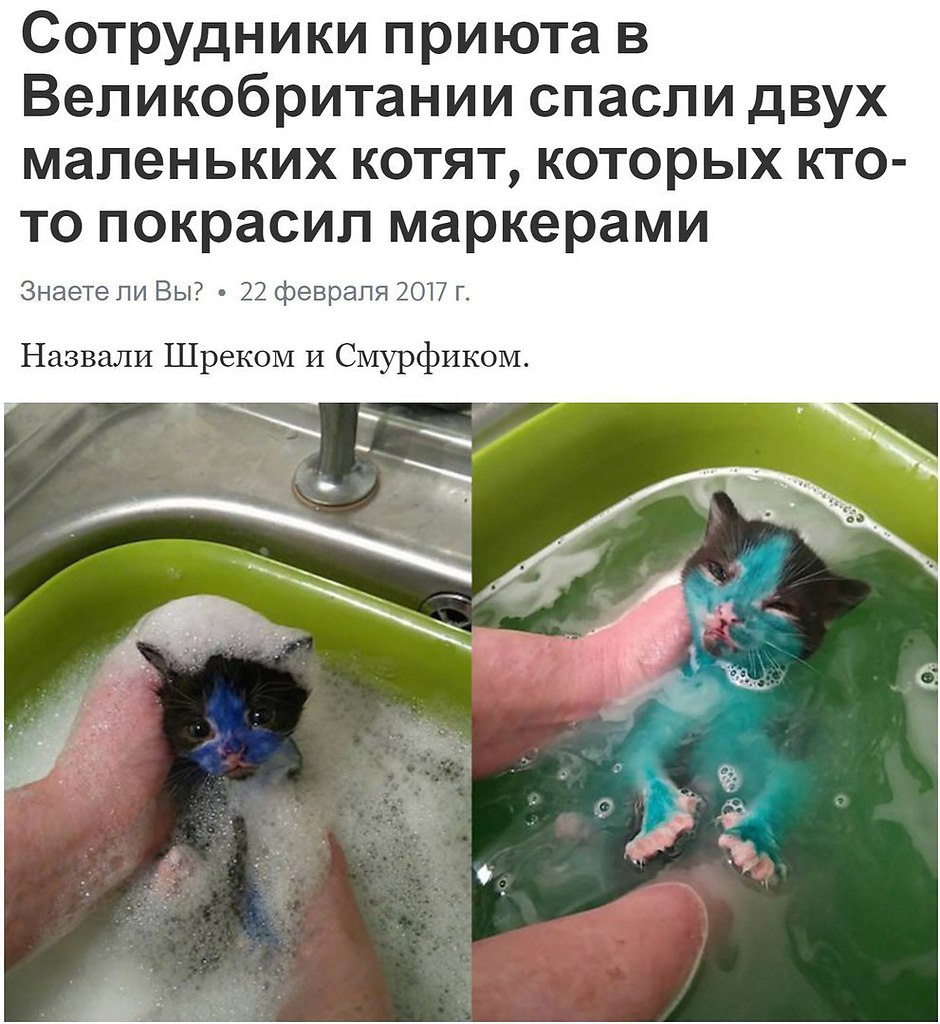  - 1  2017  18:09