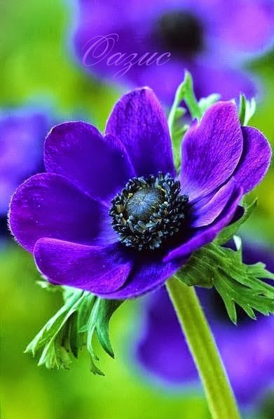   - 14  2016  15:24 - 6