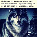 ���� �������, ������, 46 ��� - ��������� 14 ������� 2017 � ������ ������ ��������