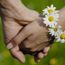 ���� �����, ������ - ��������� 11 ������� 2017 � ������ ���� ����������