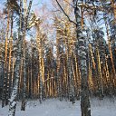 ���� �����, �������, 59 ��� - ��������� 19 �������� 2016 � ������ ���������� �������