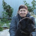 ���� ������, ������, 58 ��� - ��������� 2 ������� 2016 � ������ ���� ����������