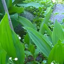 ������� �� ������� ���� ������