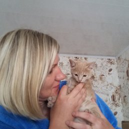 ��������, ���������