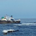 ���� �����, �����������, 55 ��� - ��������� 21 ������� 2017 � ������ �������