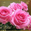 ���� ���������, ��, 64 ���� - ��������� 26 ������� 2017 � ������ ���� ����������