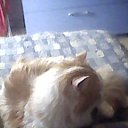 ���� M�����, ������ - ��������� 2 ������� 2016 � ������ ������ ��������