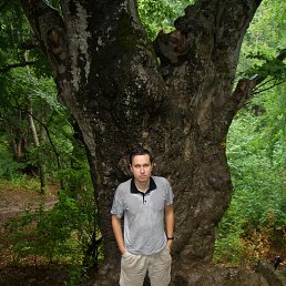 ���������, ����, 44 ����